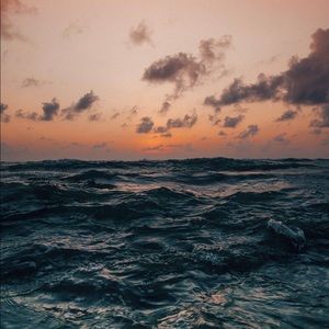 Meet your Posher, Alejandro